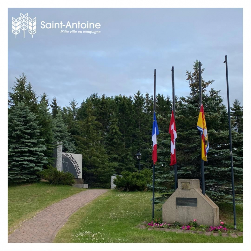 205496893 4361258753937889 4436558146473991658 n